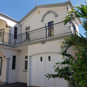 Charismatic 6-beds private spacious family villa with private big pool near beach flic en flac